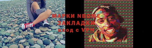 соль ск Нея